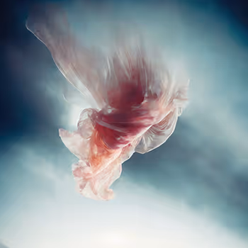 Surreal fabrics world