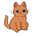 Catty Cute Cat