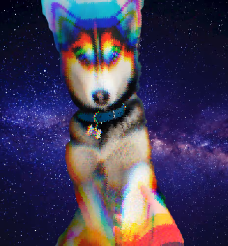 Husky moods collection