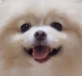 songhwa