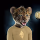 The Royal Cubs Memes - old
