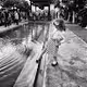 Ibiza B&W Photography Collection by Gato Suarez (2013-2021)