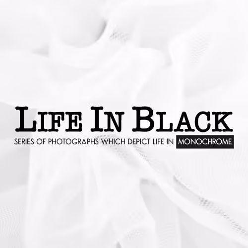 Life in Black (LiB)