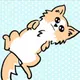 Uru uru dog animation