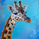 Animals and Nature Art