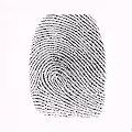 Spare Fingerprints
