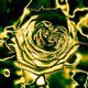 Roses On Chain