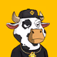 Lil Bulls Club