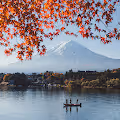 Dreams of Mt Fuji