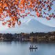 Dreams of Mt Fuji