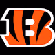 Cincinnati Bengals 2021