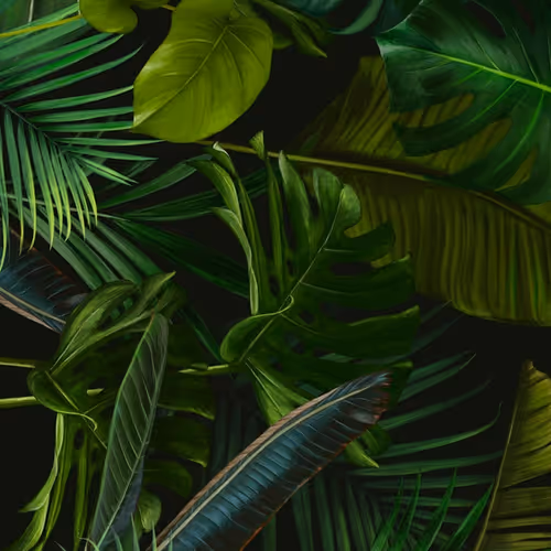 If animals were people, what...