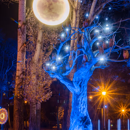 emoneybk0127 Collections