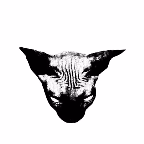 R00T CATS
