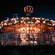 Lights of the Night