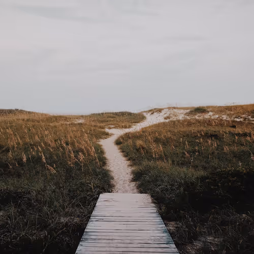 josh pan - annabelle