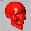 Skull Punk 3D - old