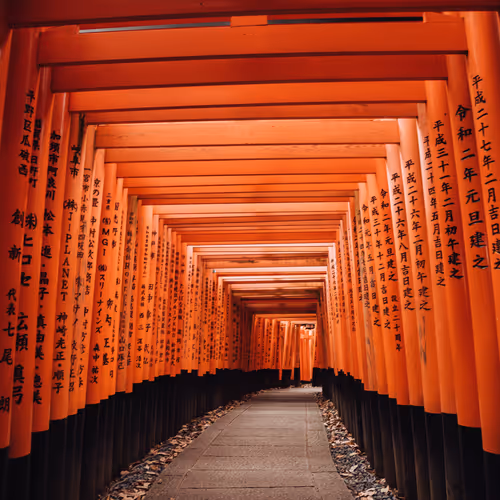 The Sukrit Srisakulchawla Collection