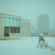 Snowstorm