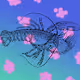 Treasures of the Sea
