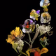 hedgerow still life by Sofia Crespo