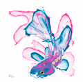 The Flowfish Project