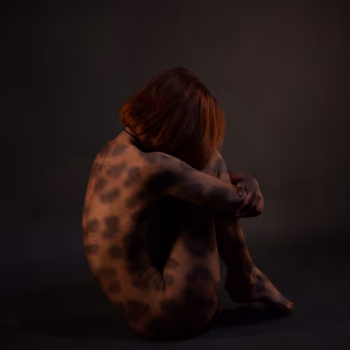 Nito Editions - Cheetah