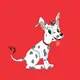 Xolo Puppies