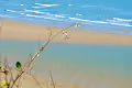 Sky, Sand, & Sea Collection