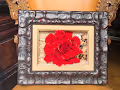 preserved flower33
