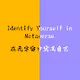 Identify Yourself in Metaverse