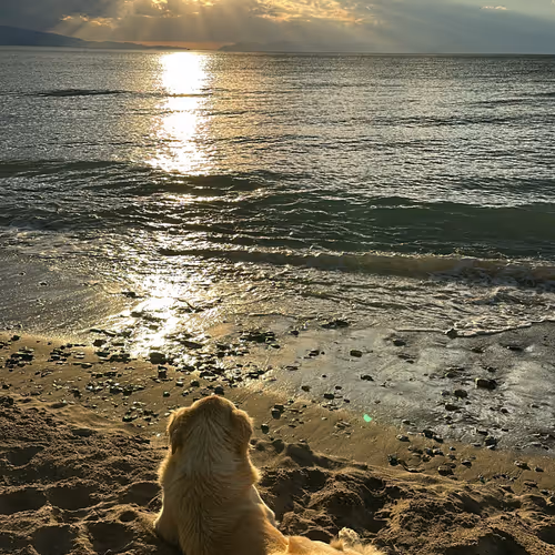 Sunset_Series