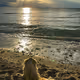 Sunset_Series