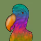 The DoDo's