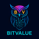Bit Value Coin