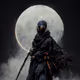 Samurai Ninja