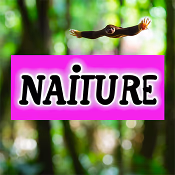 NaiTURE