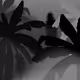 Ghost Story (NSP X THAIGHOST)