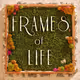 Frames of Lifes