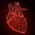 Lion Heart V2