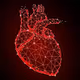 Lion Heart V2