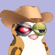 Pepe The Penguins