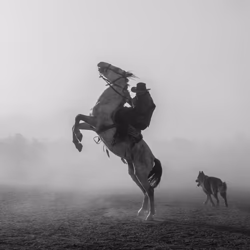Wild Horses & Cowboys