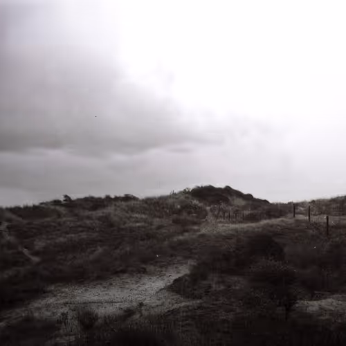 life.anchors.monochrome