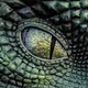 Fourth Kind #ReptilianIcon