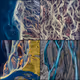 Nature’s Generative Art