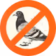 compromised pigeons