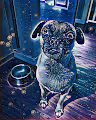 A Digital Artwork Collection