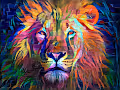 D2ARTS King Collection