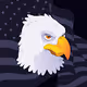 Project_Soar